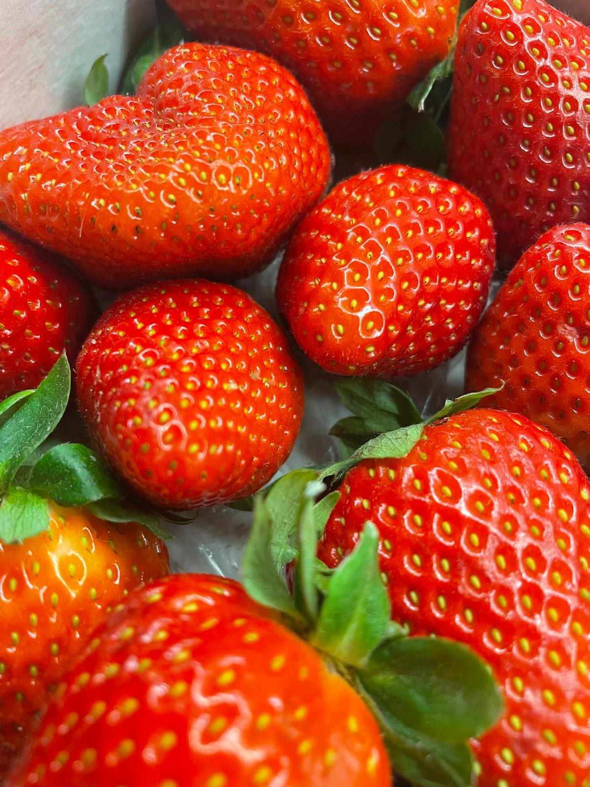 Fresh strawberries